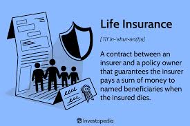 Life Insurance: A Comprehensive Guide