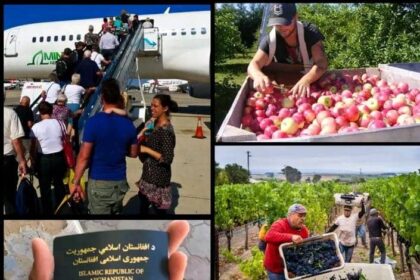 LMIA Fruit Farm Jobs in Canadian Visa