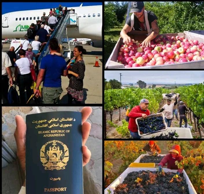 LMIA Fruit Farm Jobs in Canadian Visa