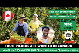 free visa sponsoring