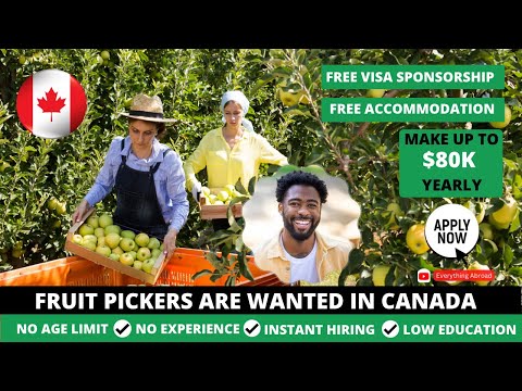 free visa sponsoring