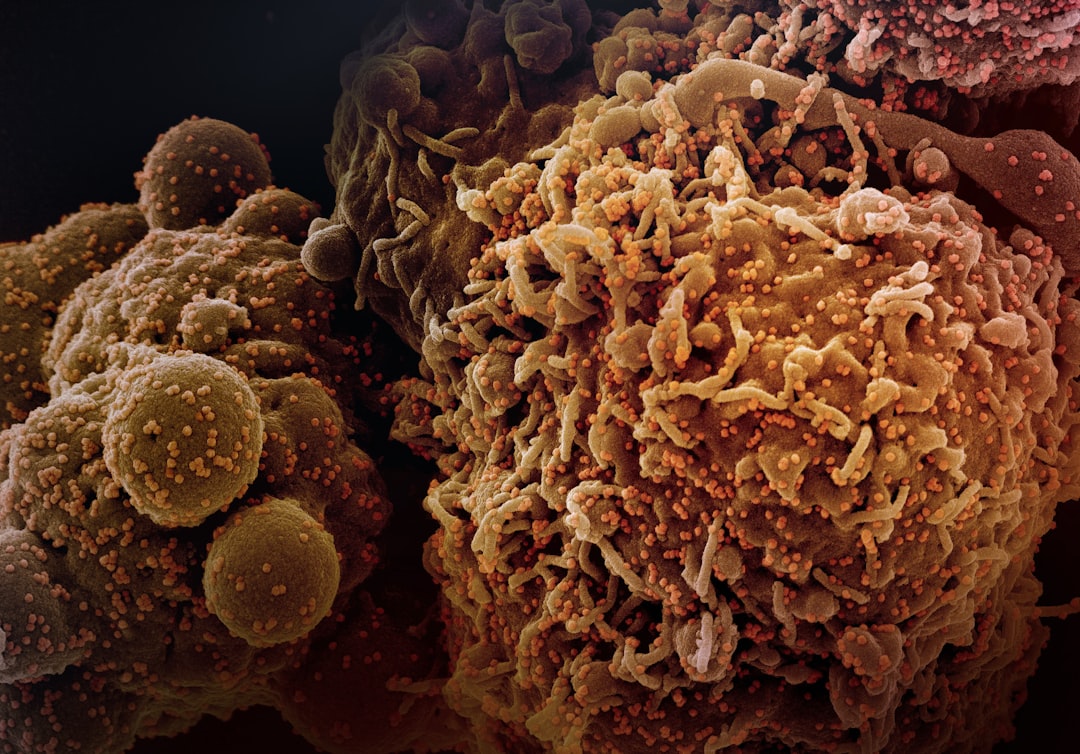 a close up of a bunch of brown and yellow stuff